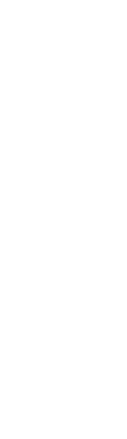 若鶏のもも